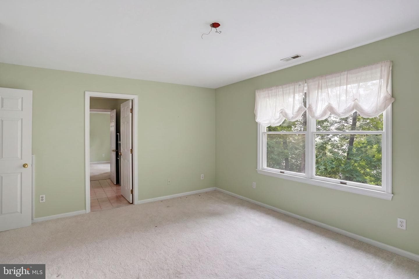 8821 Dorothy Lane photo 69