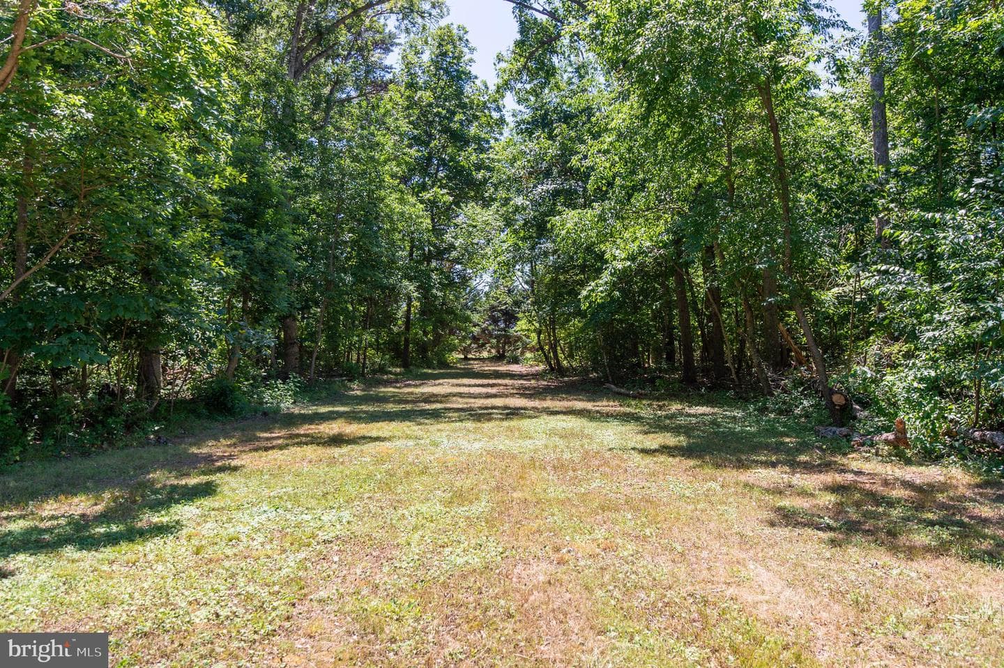 23130 Sparks Road Road photo 59