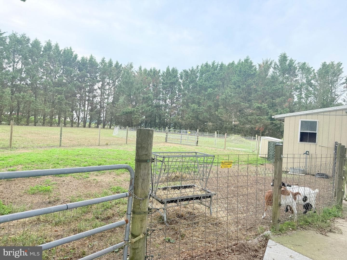 14540 Drapers Mill Road photo 16