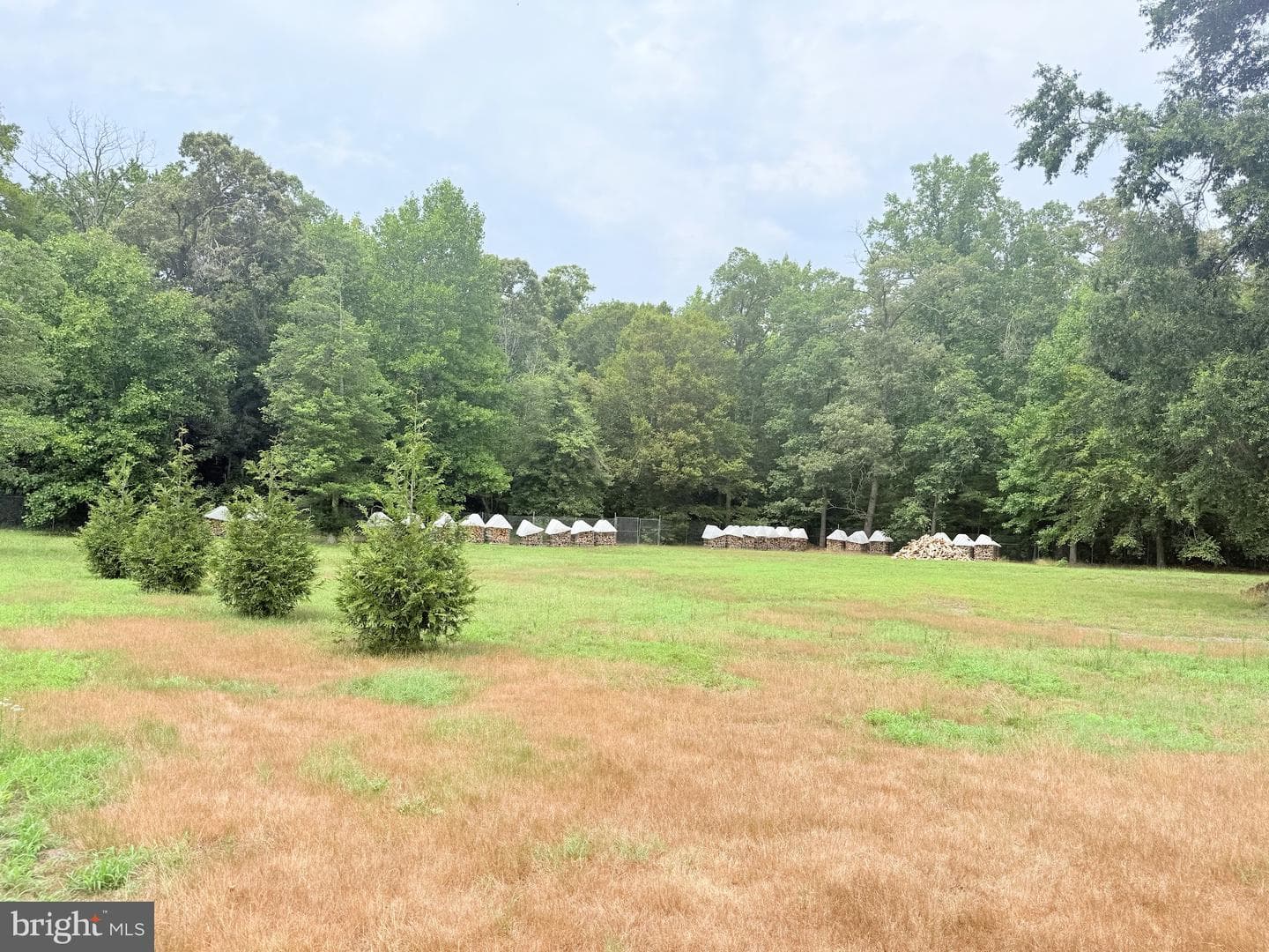 14540 Drapers Mill Road photo 3