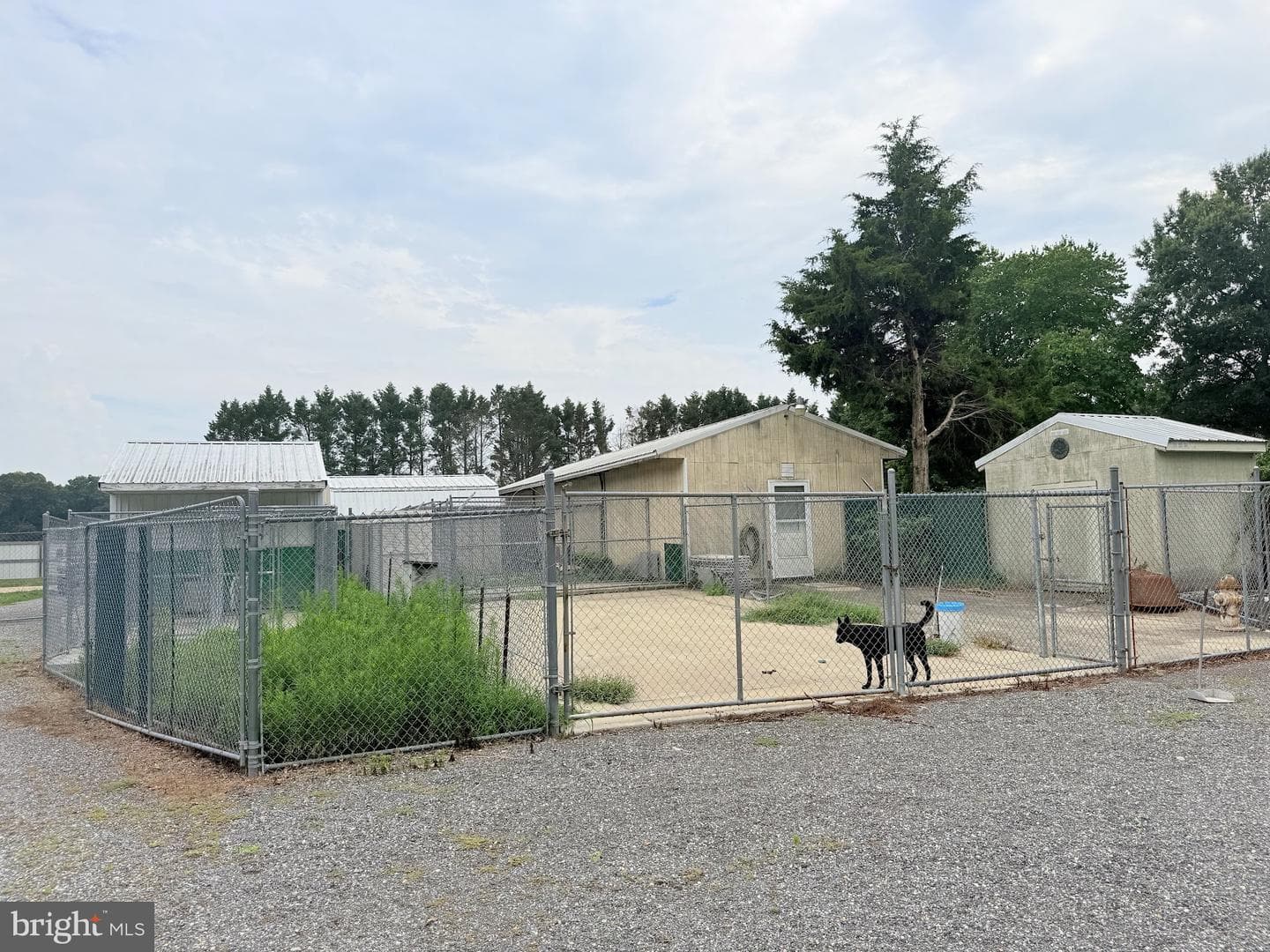 14540 Drapers Mill Road photo 8