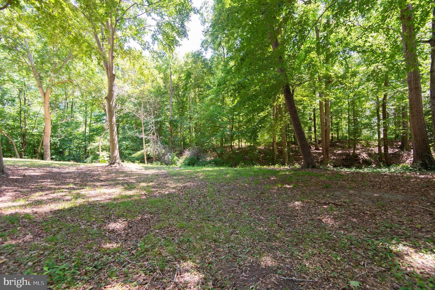 21370 Skeleton Creek Road photo 45