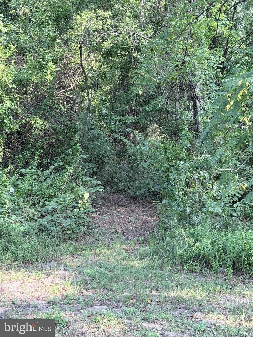 4455 Smithville Road photo 31
