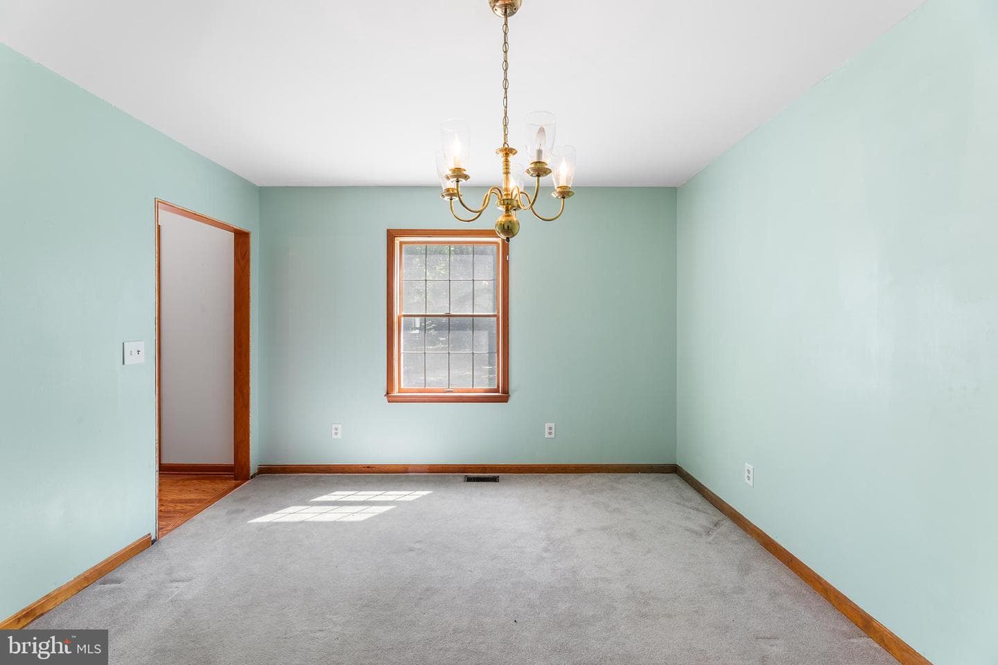 8548 Dogwood Blossom Lane photo 13