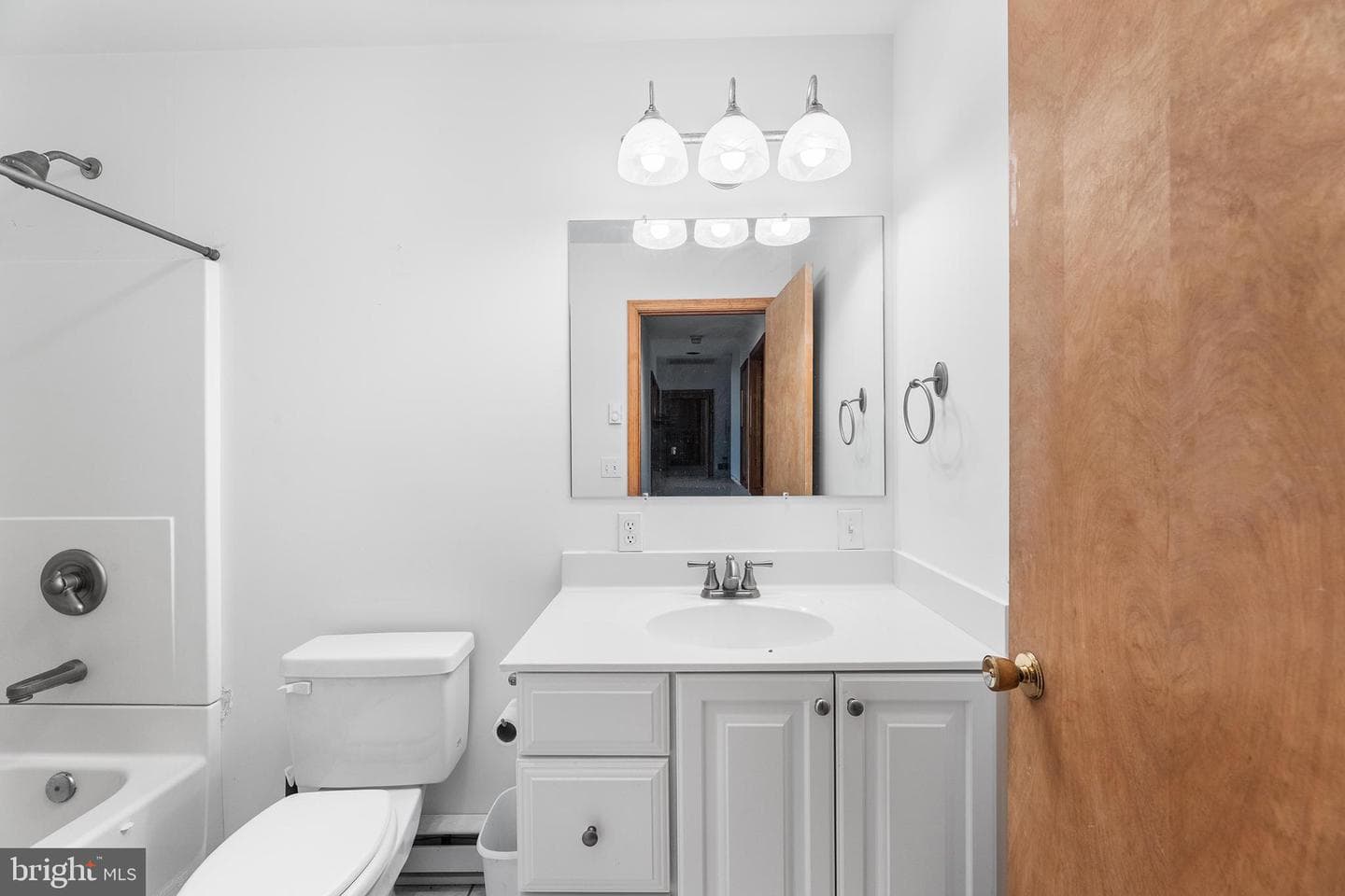 8548 Dogwood Blossom Lane photo 40