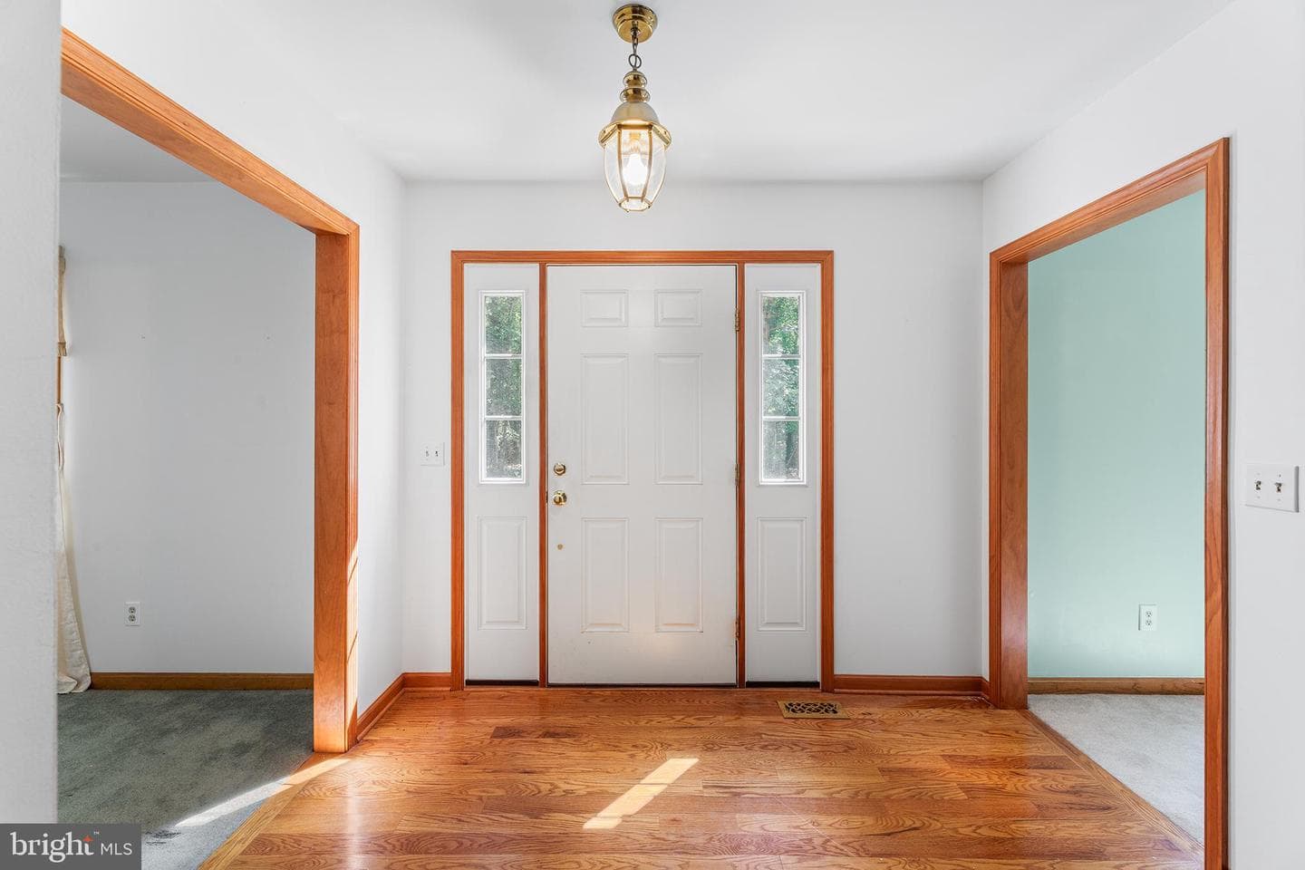 8548 Dogwood Blossom Lane photo 7