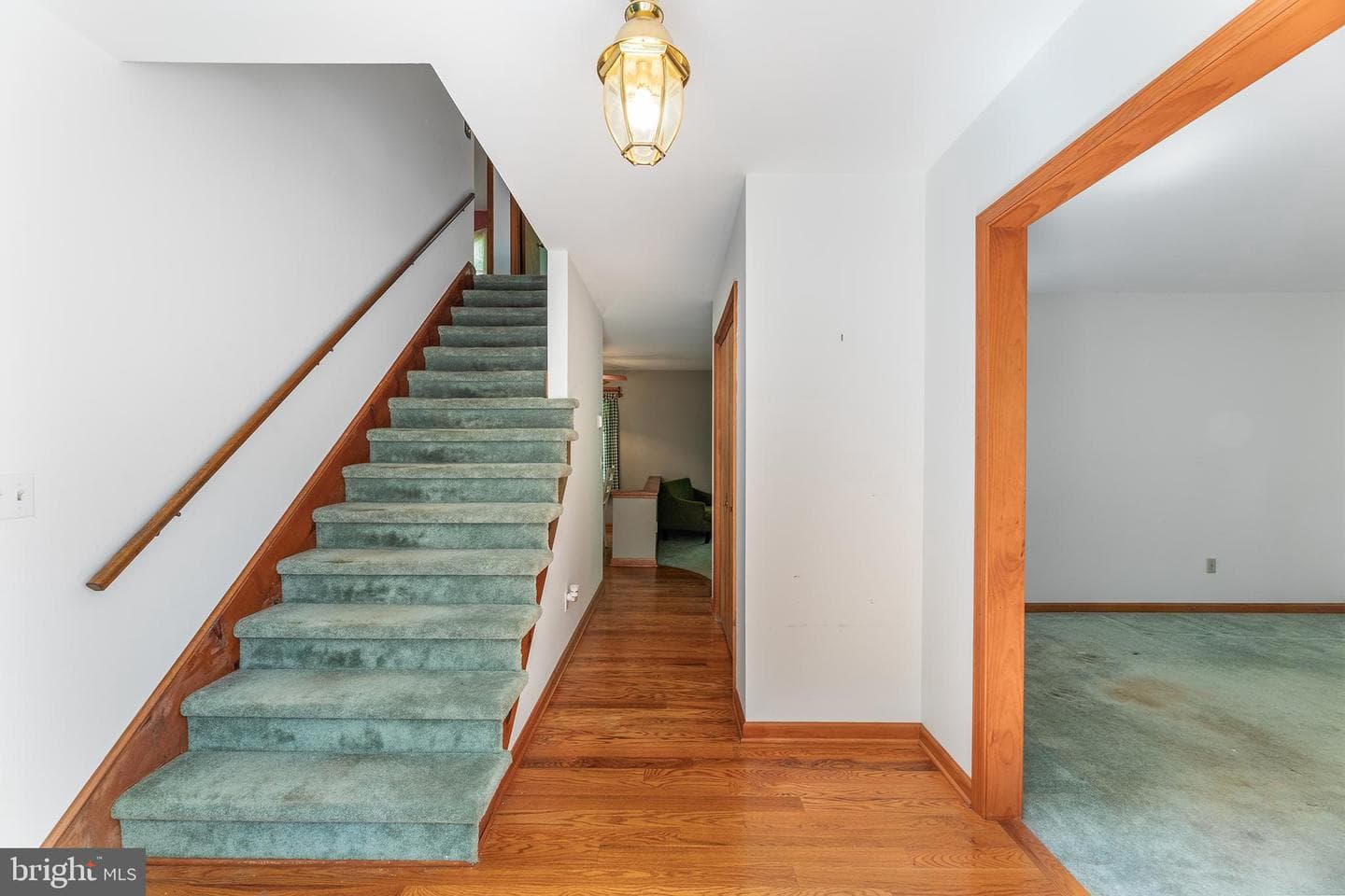 8548 Dogwood Blossom Lane photo 8
