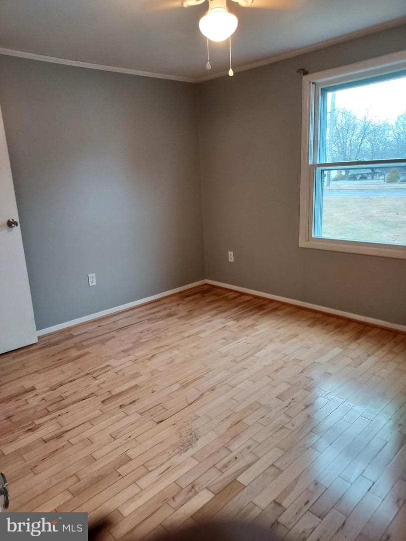 2121 Don Avenue photo 85