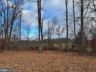 2036 Shreeveley Lane photo 5