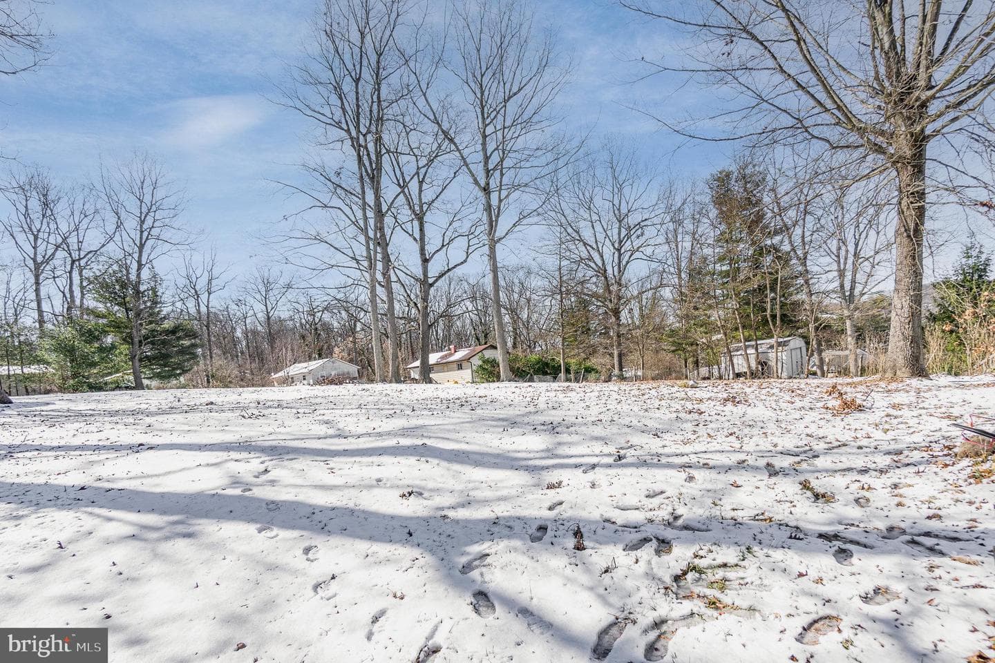 4903 Roller Road photo 6