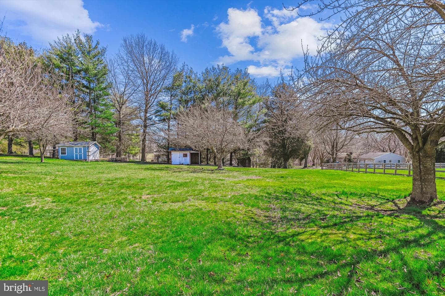 4517 Foxtail Road photo 3