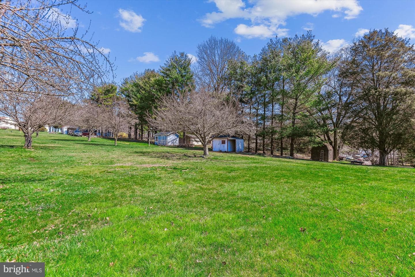 4517 Foxtail Road photo 9
