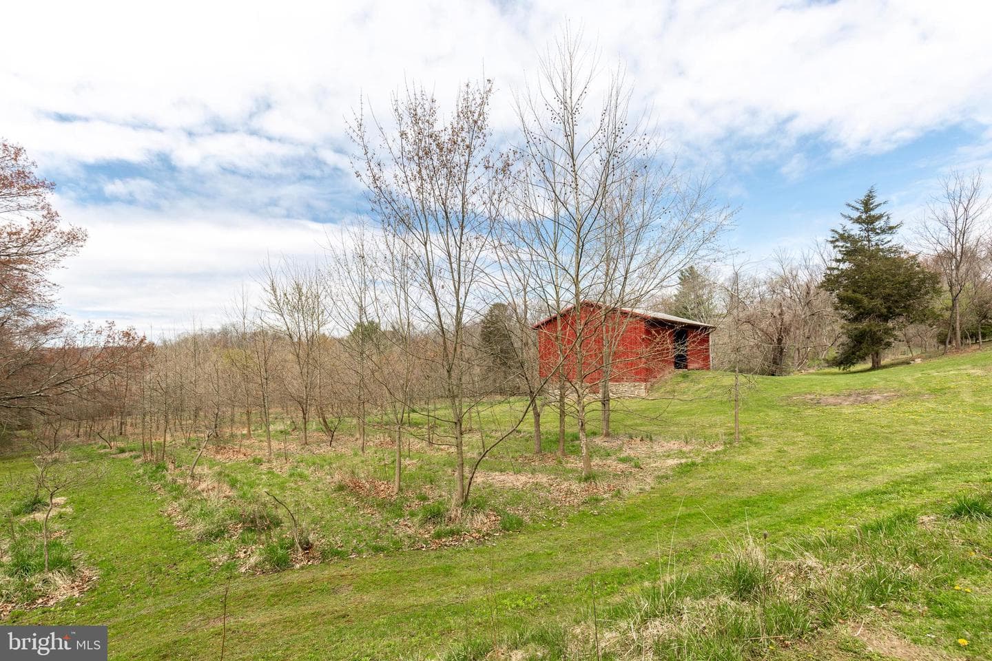 3195 Shamer Lane photo 48