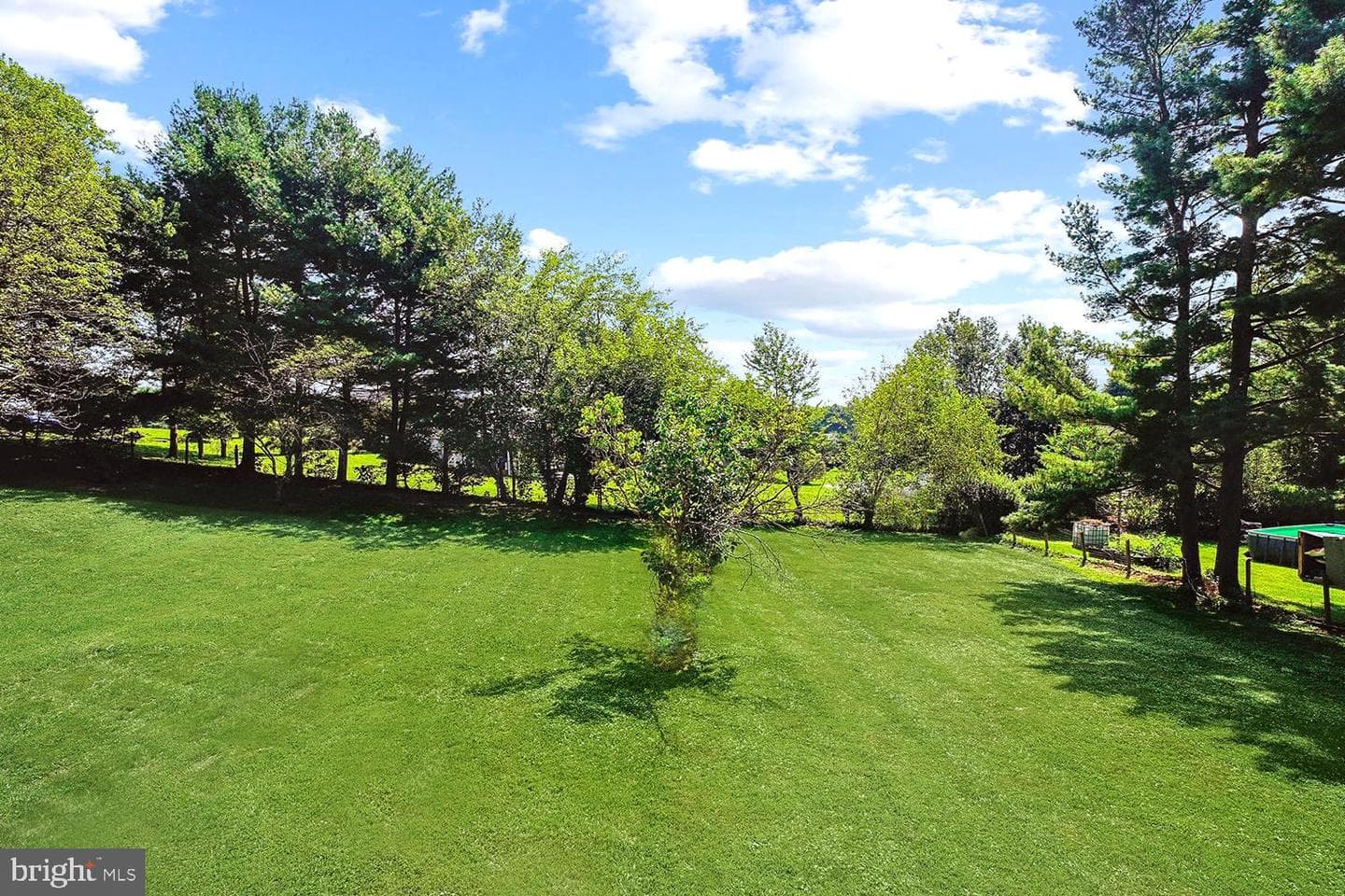 5001 Woodbine Road photo 4