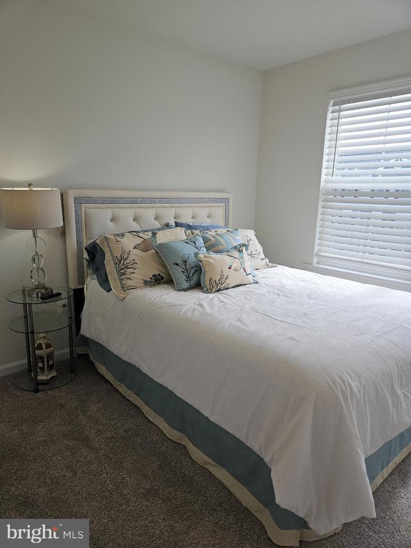 341 Crimson Avenue photo 20