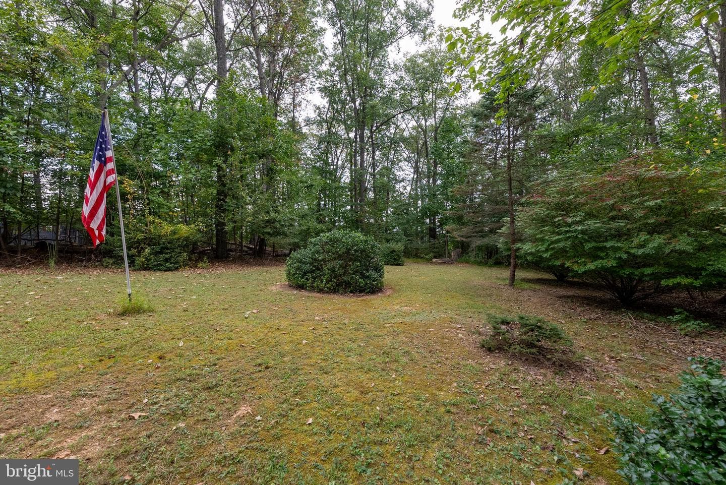 1020 Bird Hill Drive photo 37