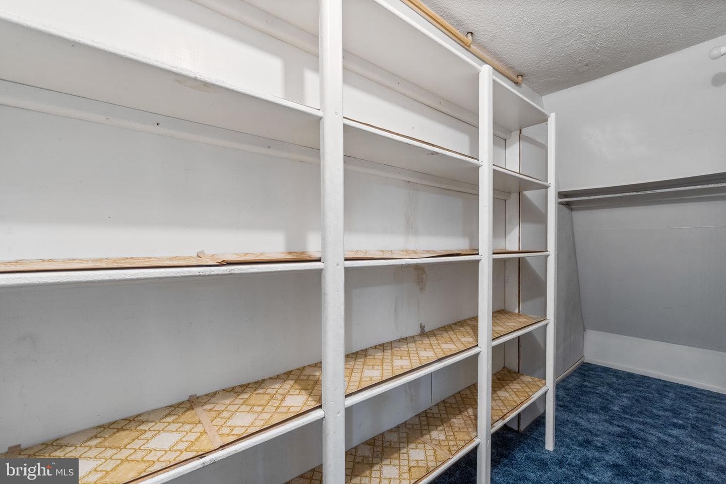 1401 Chazadale Way photo 14