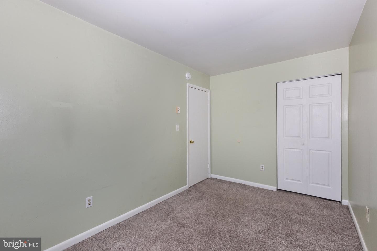6 Courier Drive photo 10