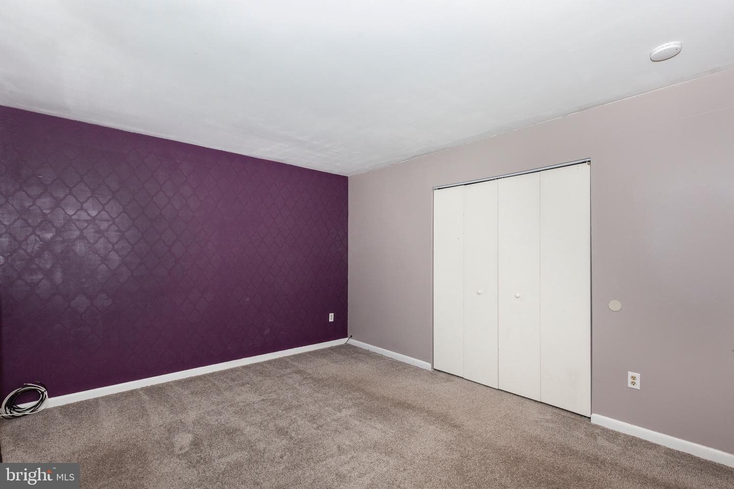 6 Courier Drive photo 7