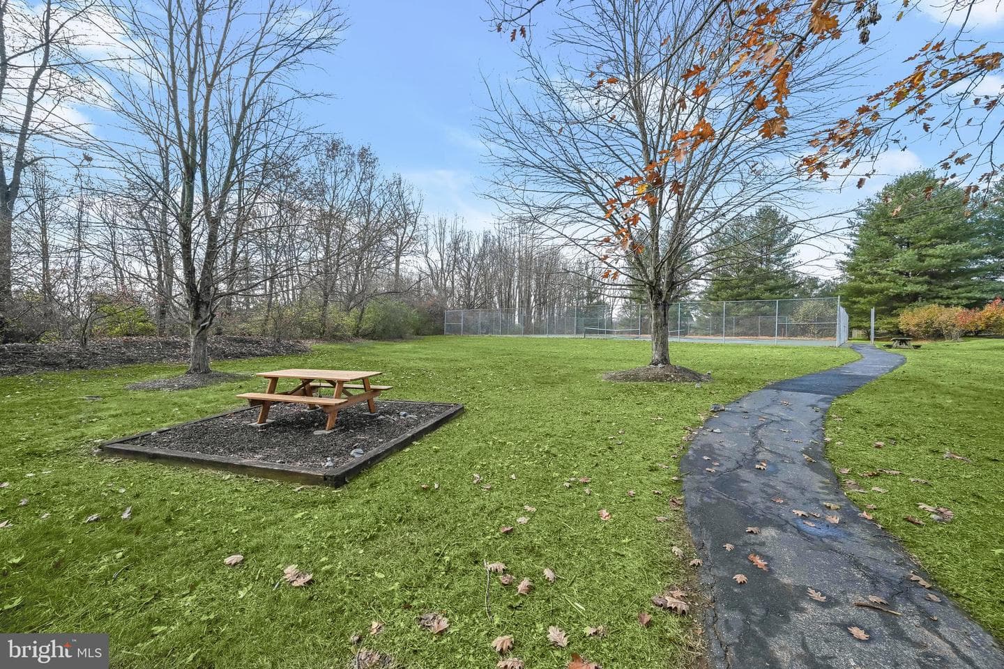 6819 Little Barley Drive photo 47