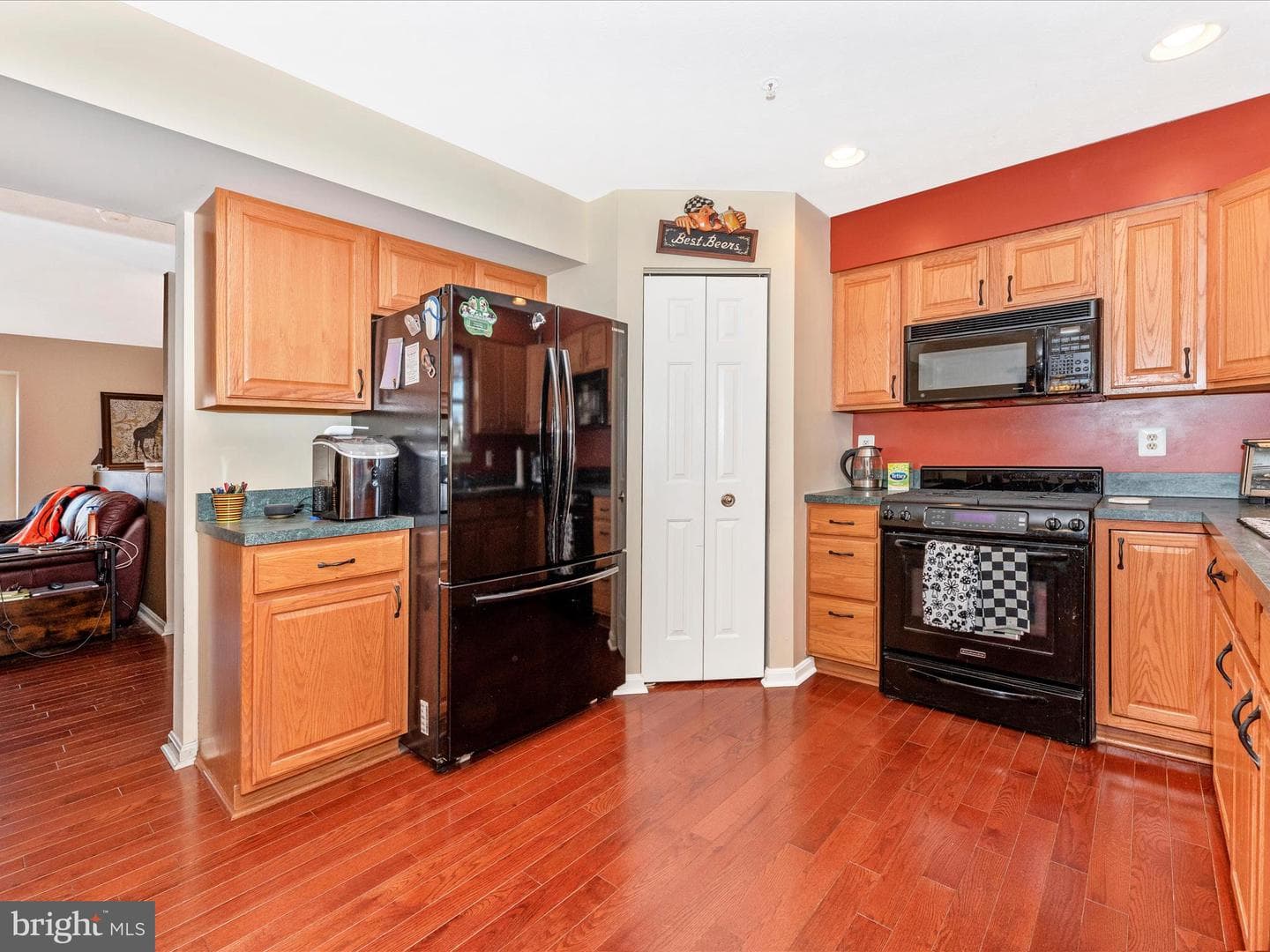 235 Lodestone Court photo 16