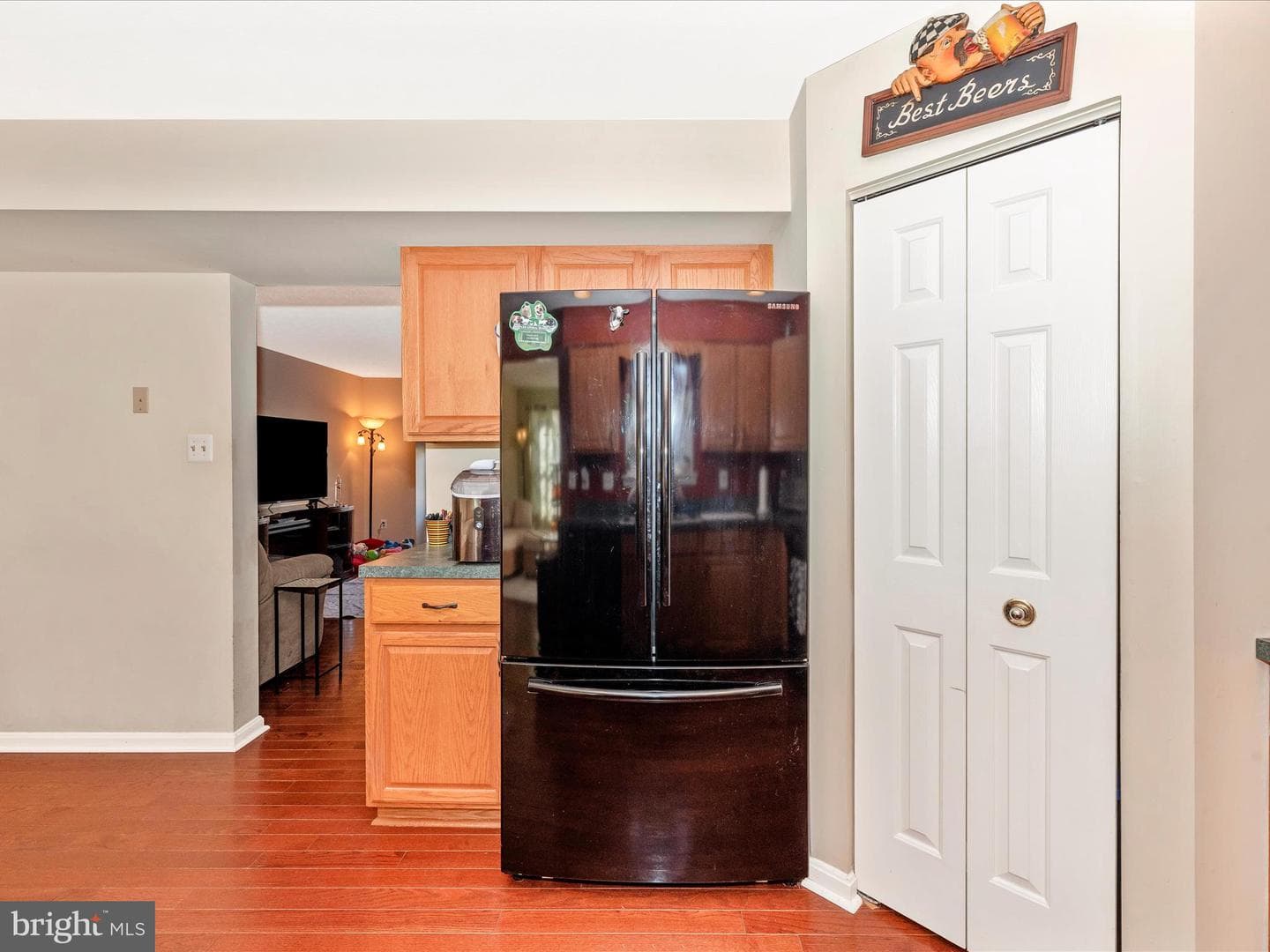 235 Lodestone Court photo 17