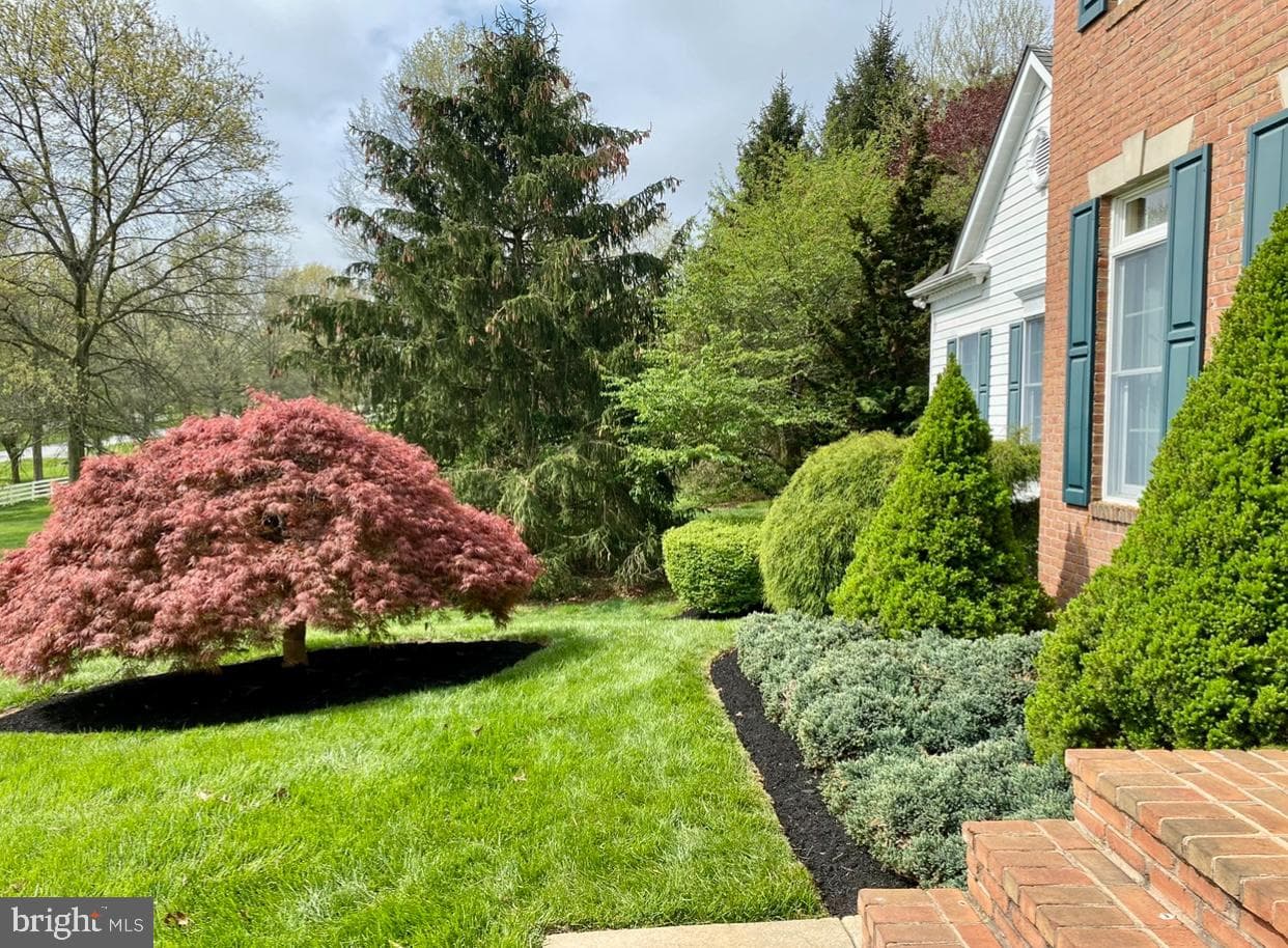 6240 Belmont photo 65
