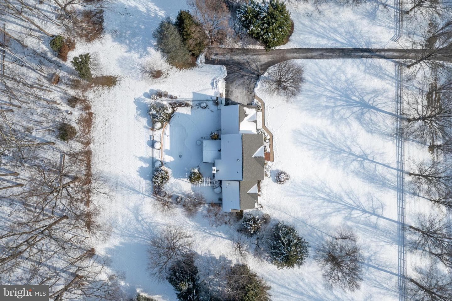 6240 Belmont photo 91