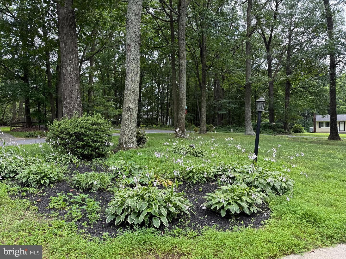 1234 Buckhorn Road photo 36