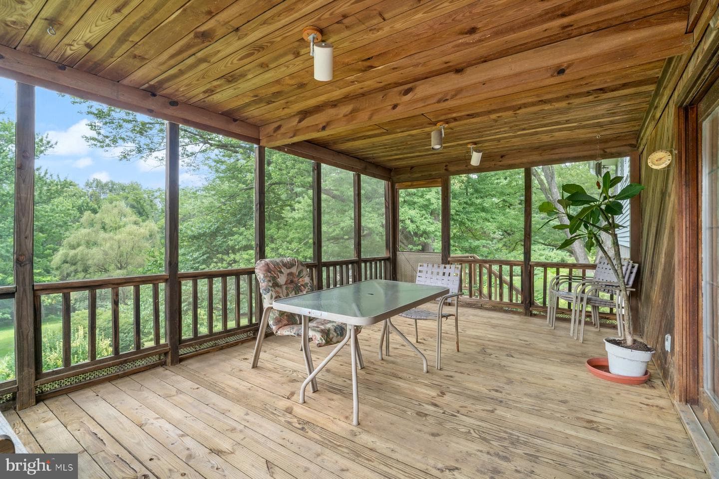 2810 Rainbow Drive photo 6