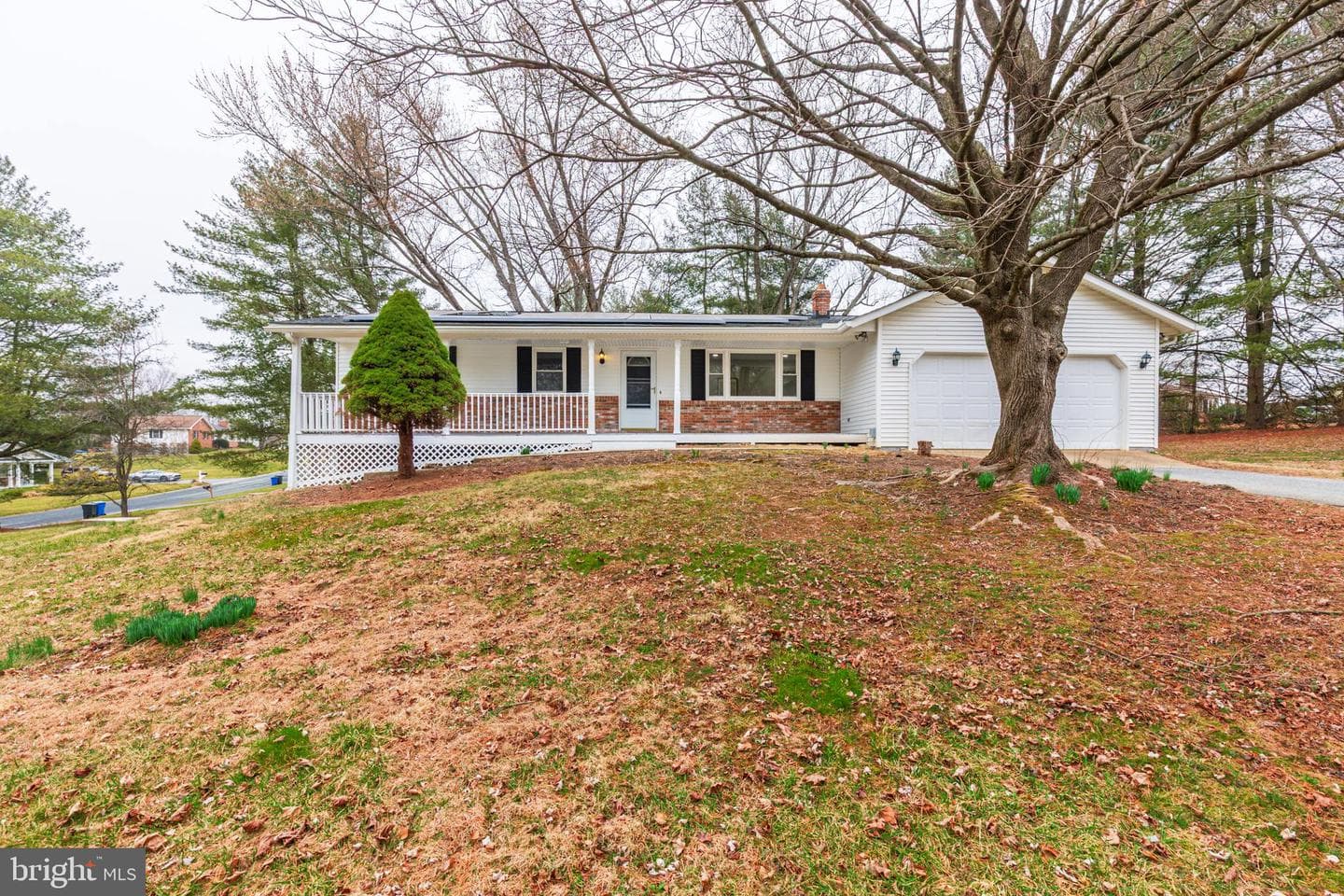 7027 Carmae Road photo 49