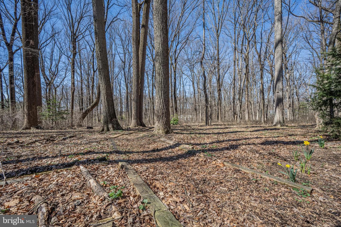 7010 Brentwood Drive photo 19