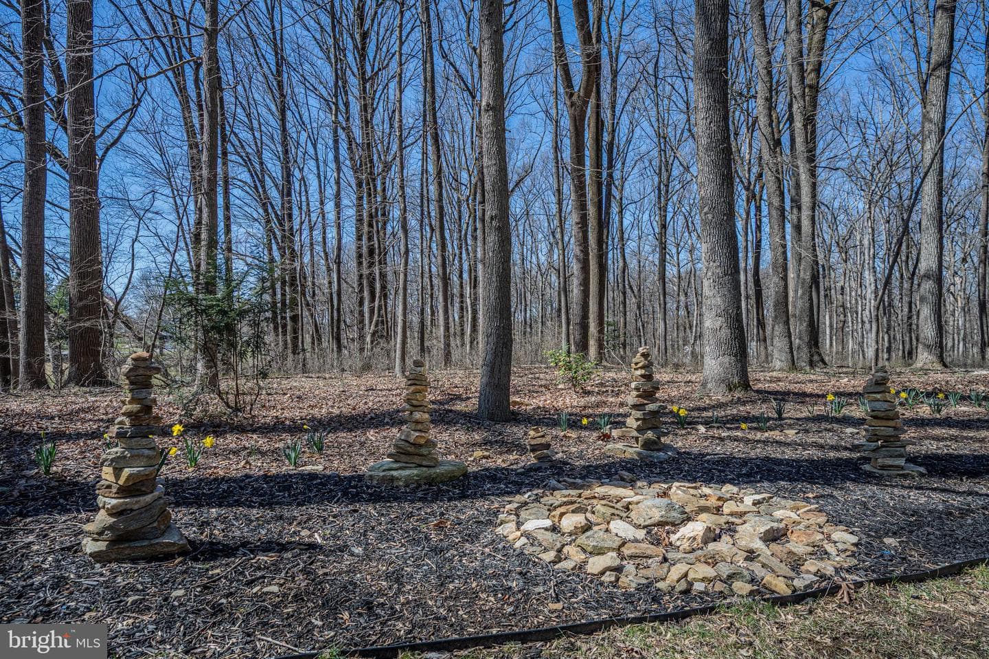 7010 Brentwood Drive photo 20