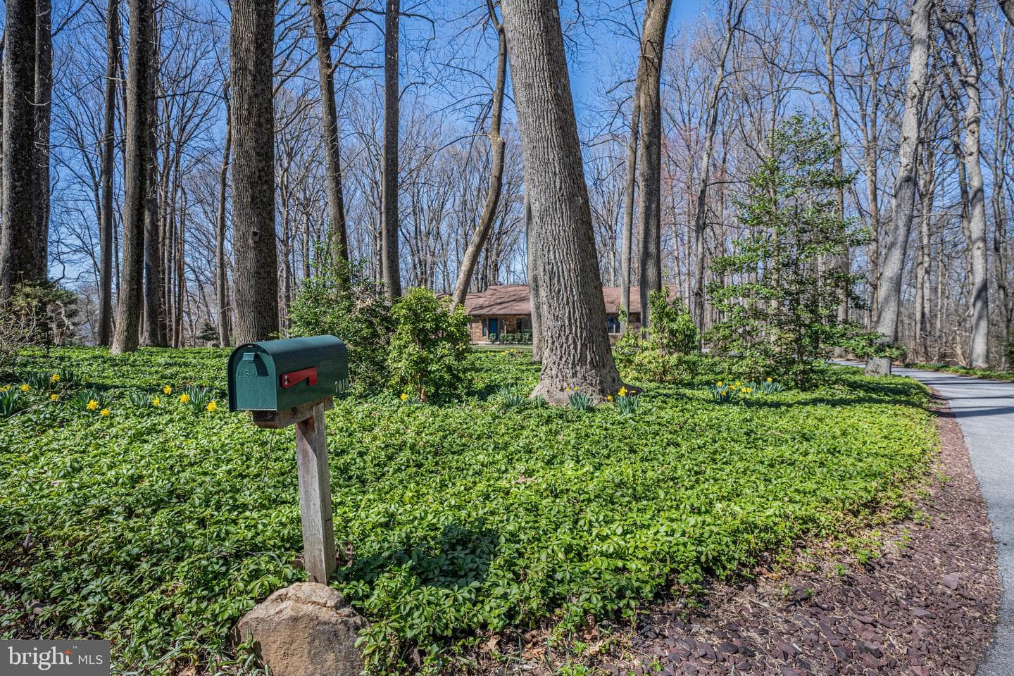 7010 Brentwood Drive photo 4