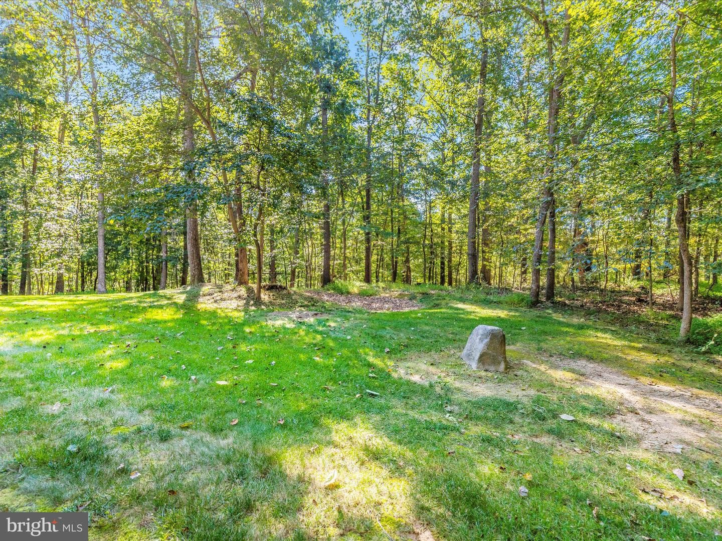 1013 Wilda Drive photo 101