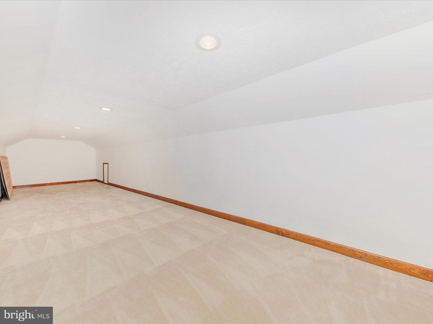 1013 Wilda Drive photo 32