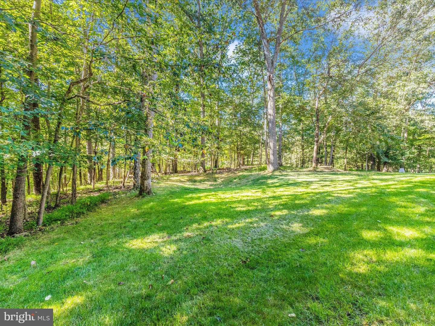 1013 Wilda Drive photo 47