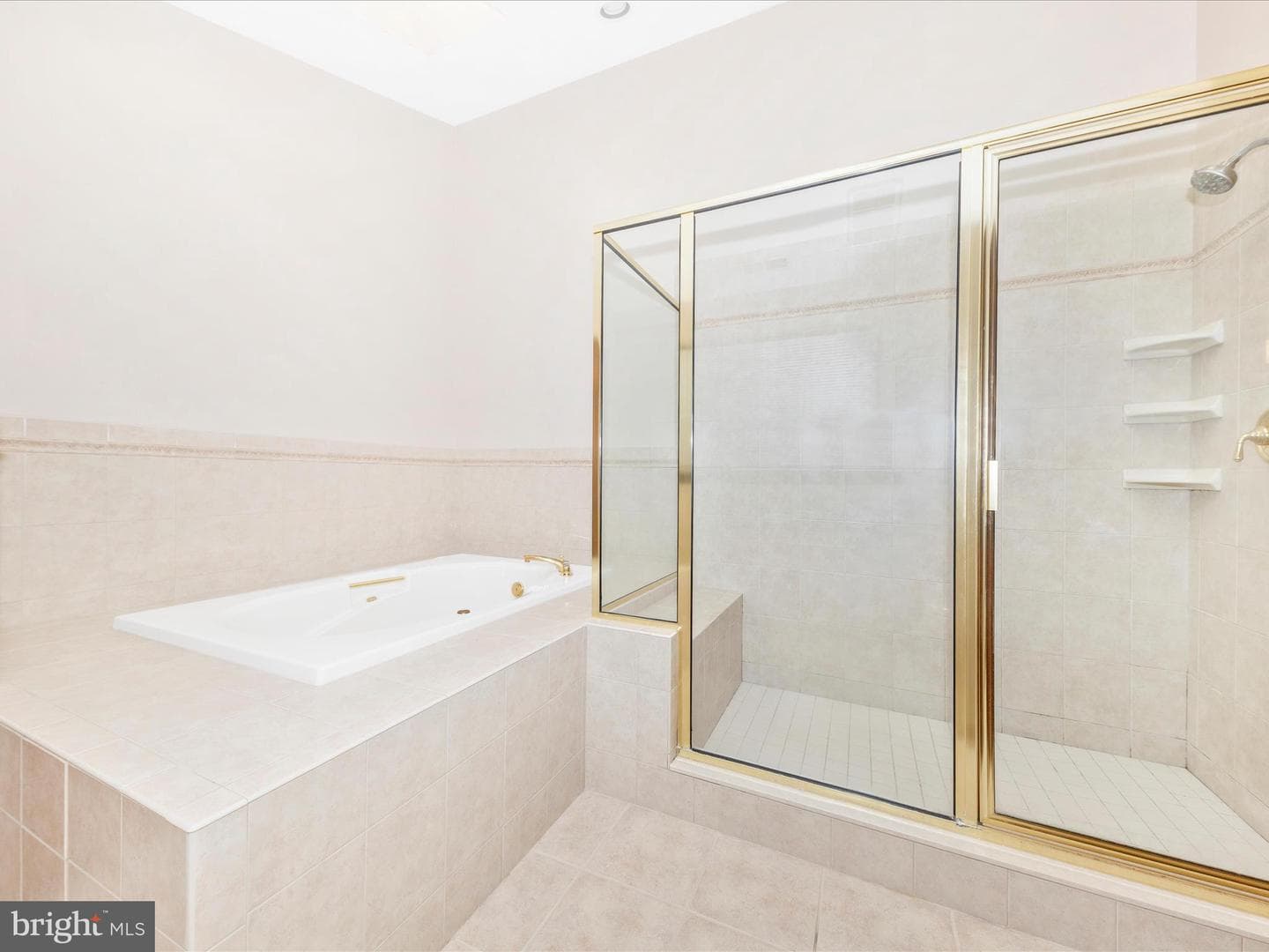 1013 Wilda Drive photo 81