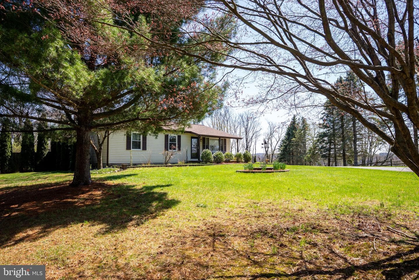 3603 Turkeyfoot Road photo 6