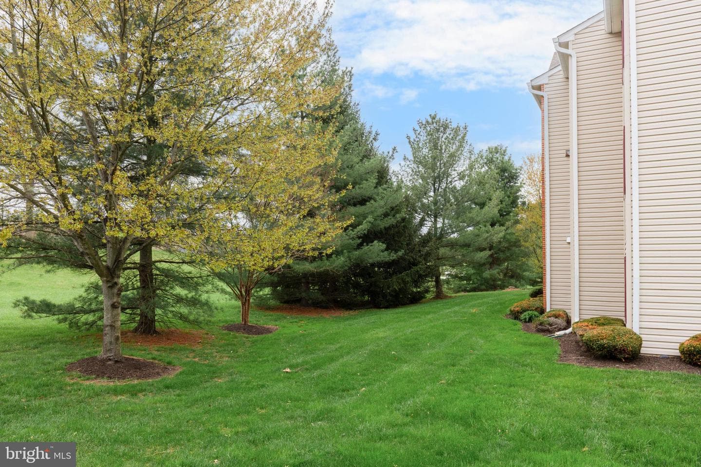 3820 Normandy Drive #3b photo 41