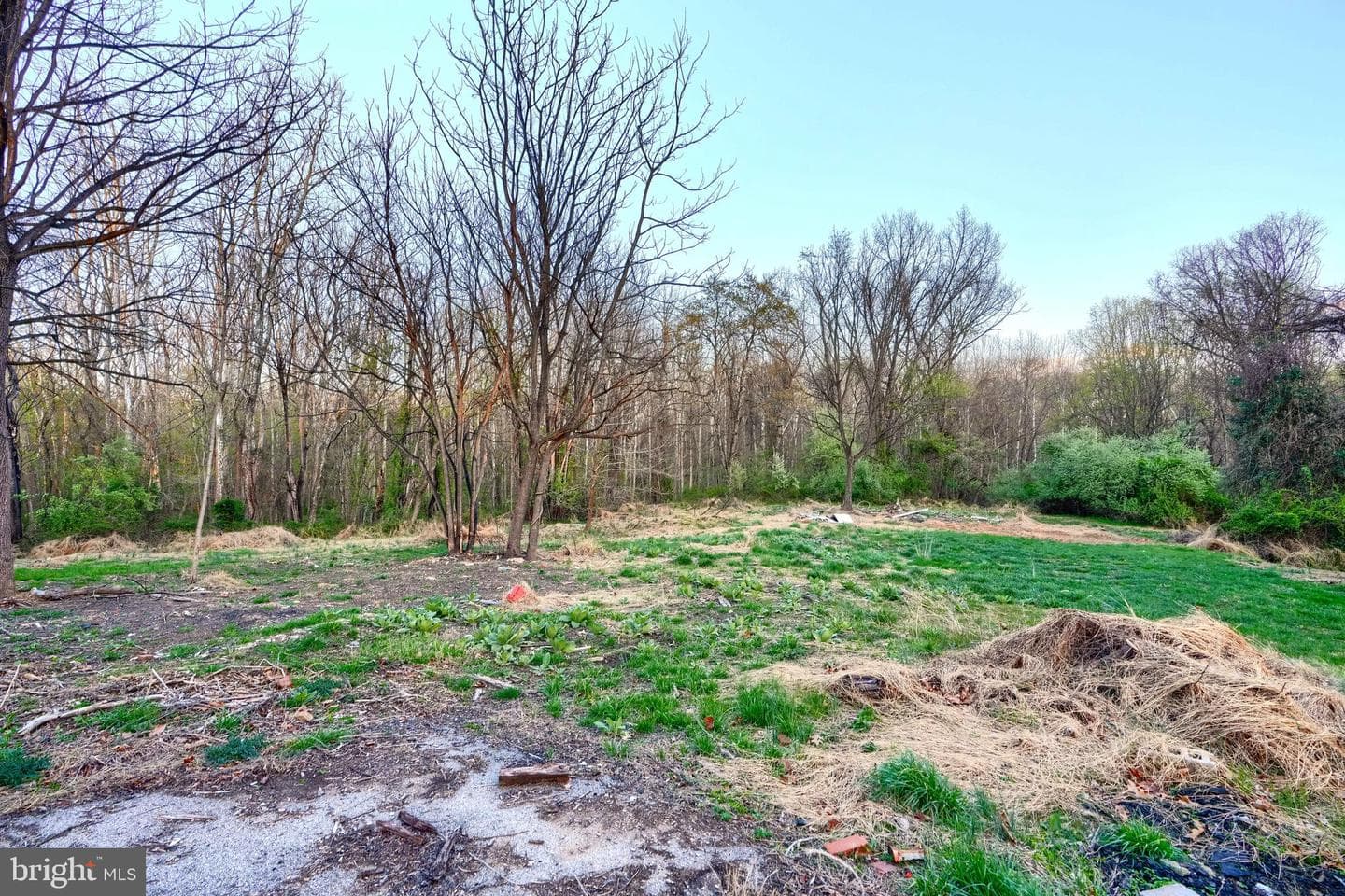 1873 Lakeland Drive photo 10