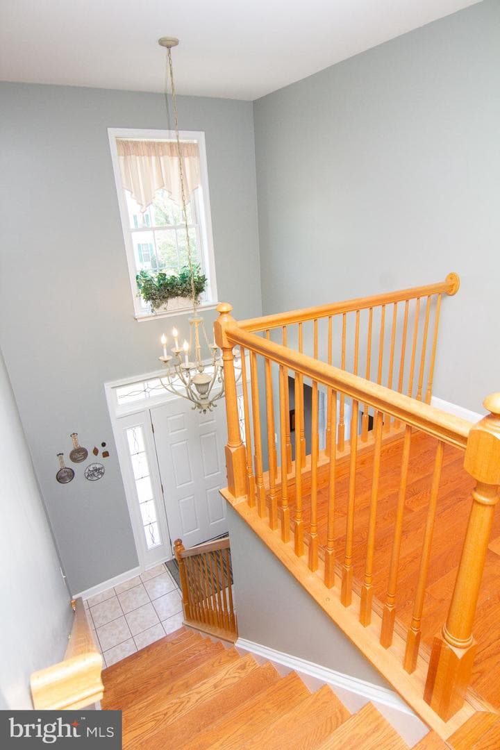 897 Caren Drive photo 24