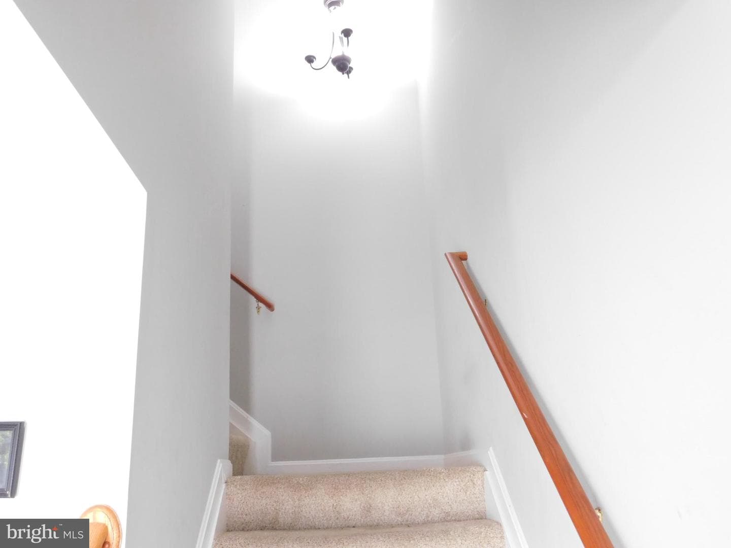 98 Crimson Avenue photo 12