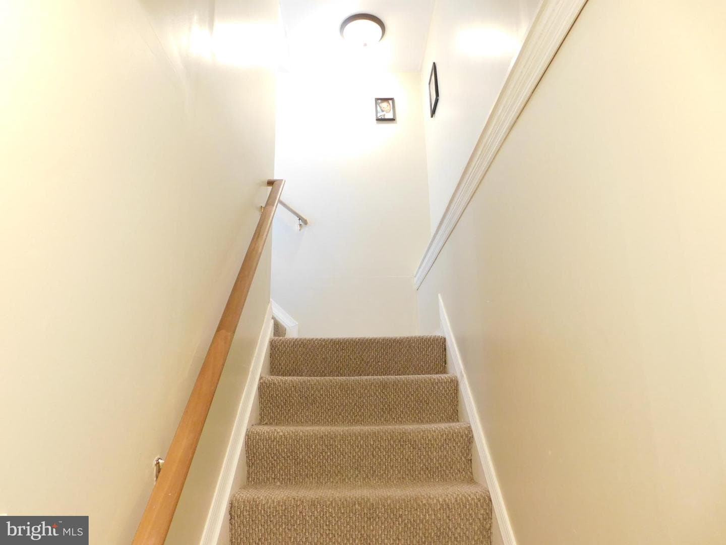 98 Crimson Avenue photo 38