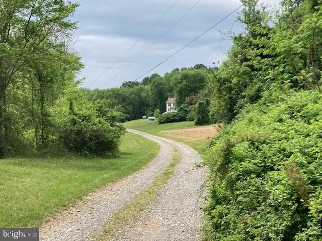 2995 Sams Creek Road photo 105
