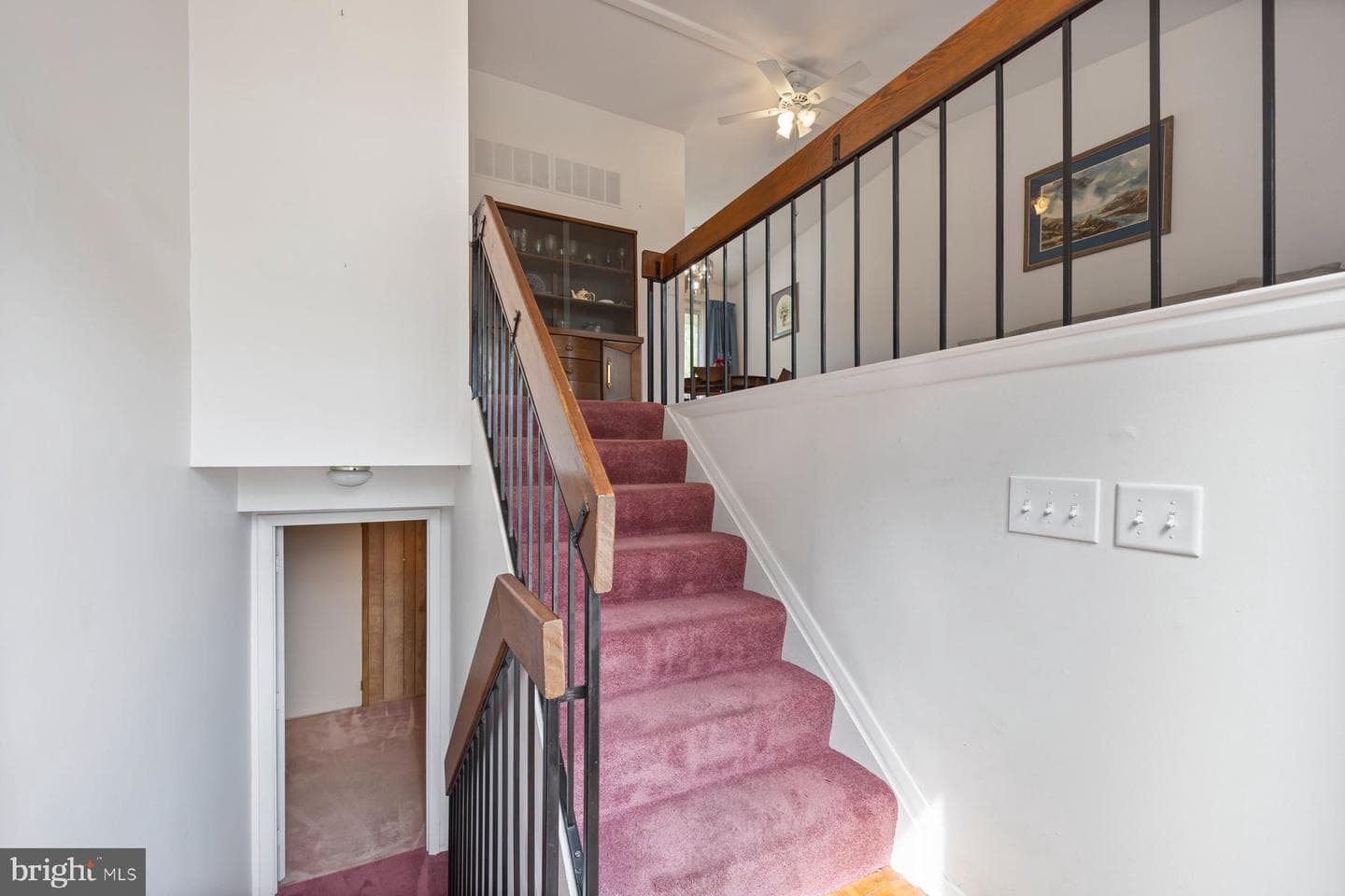 4308 Dogwood Drive photo 3
