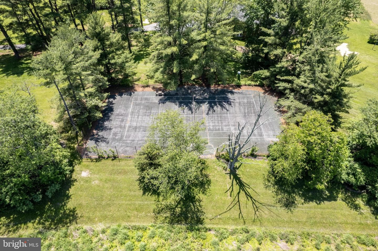 3822 Wine Road photo 13