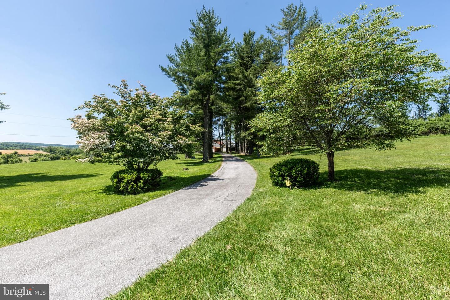 3822 Wine Road photo 22