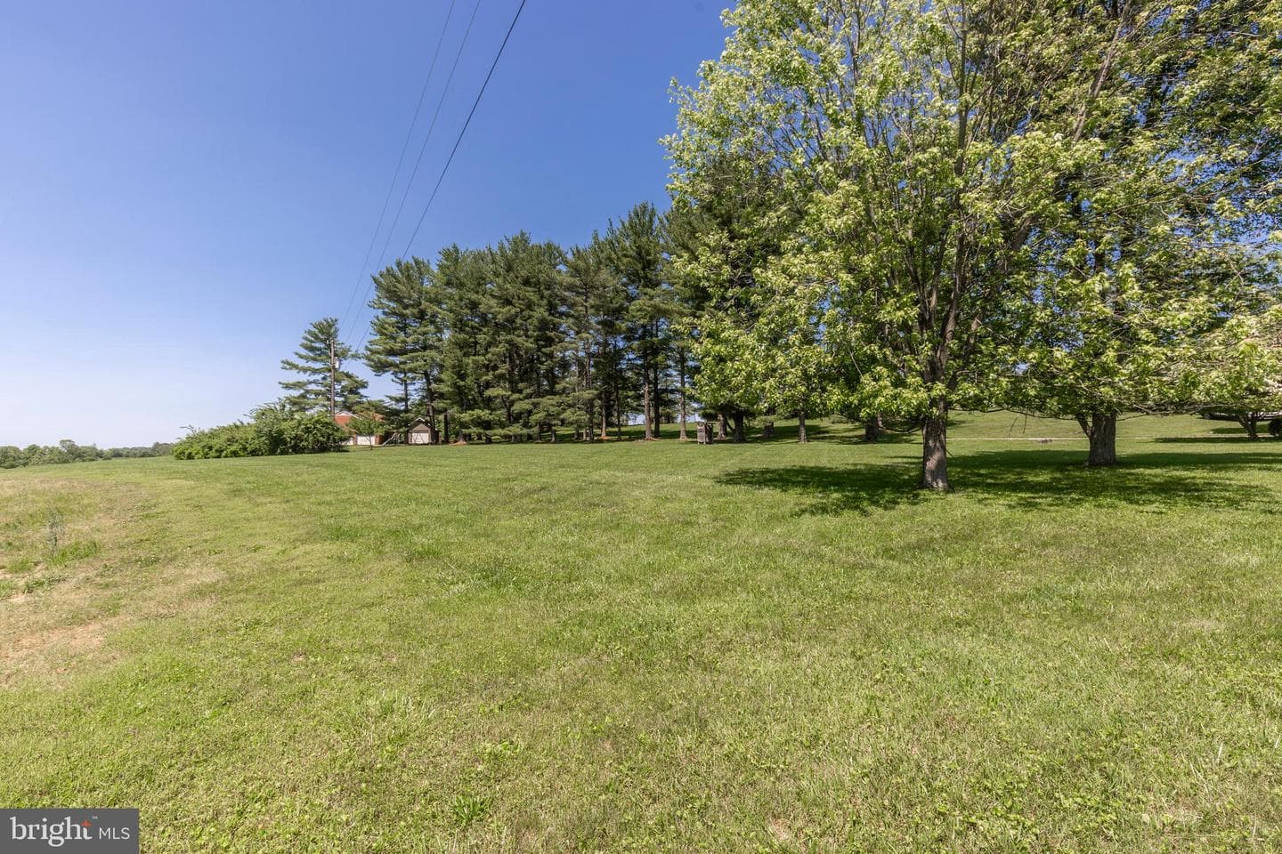 3822 Wine Road photo 79