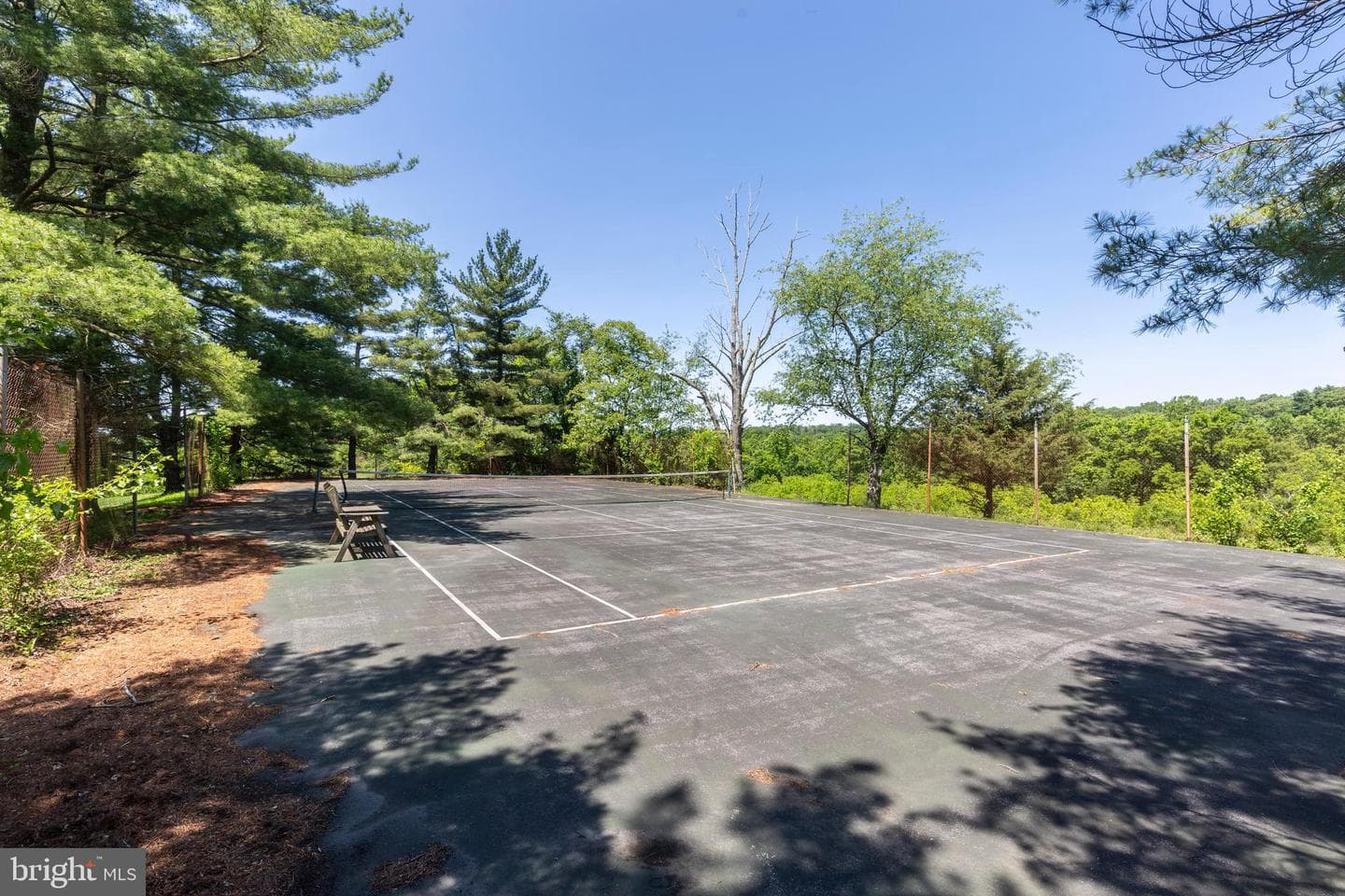 3822 Wine Road photo 88